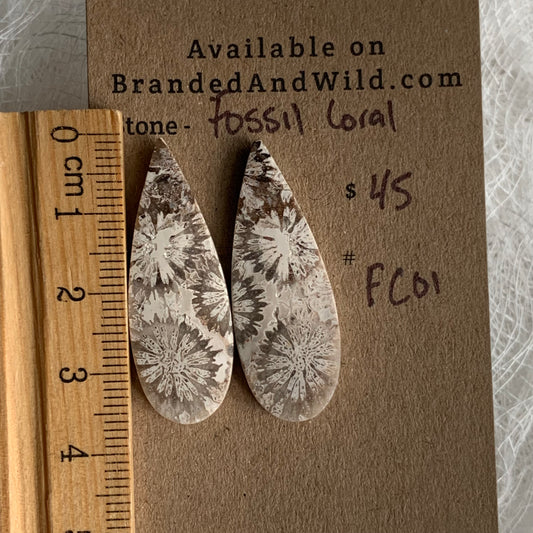 Fossil Coral Cabochon - FC01