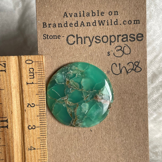 Chrysoprase Cabochon - Ch28 F8A7D540-F515-4555-8849-B249291D1DD5 Brandedandwild.com