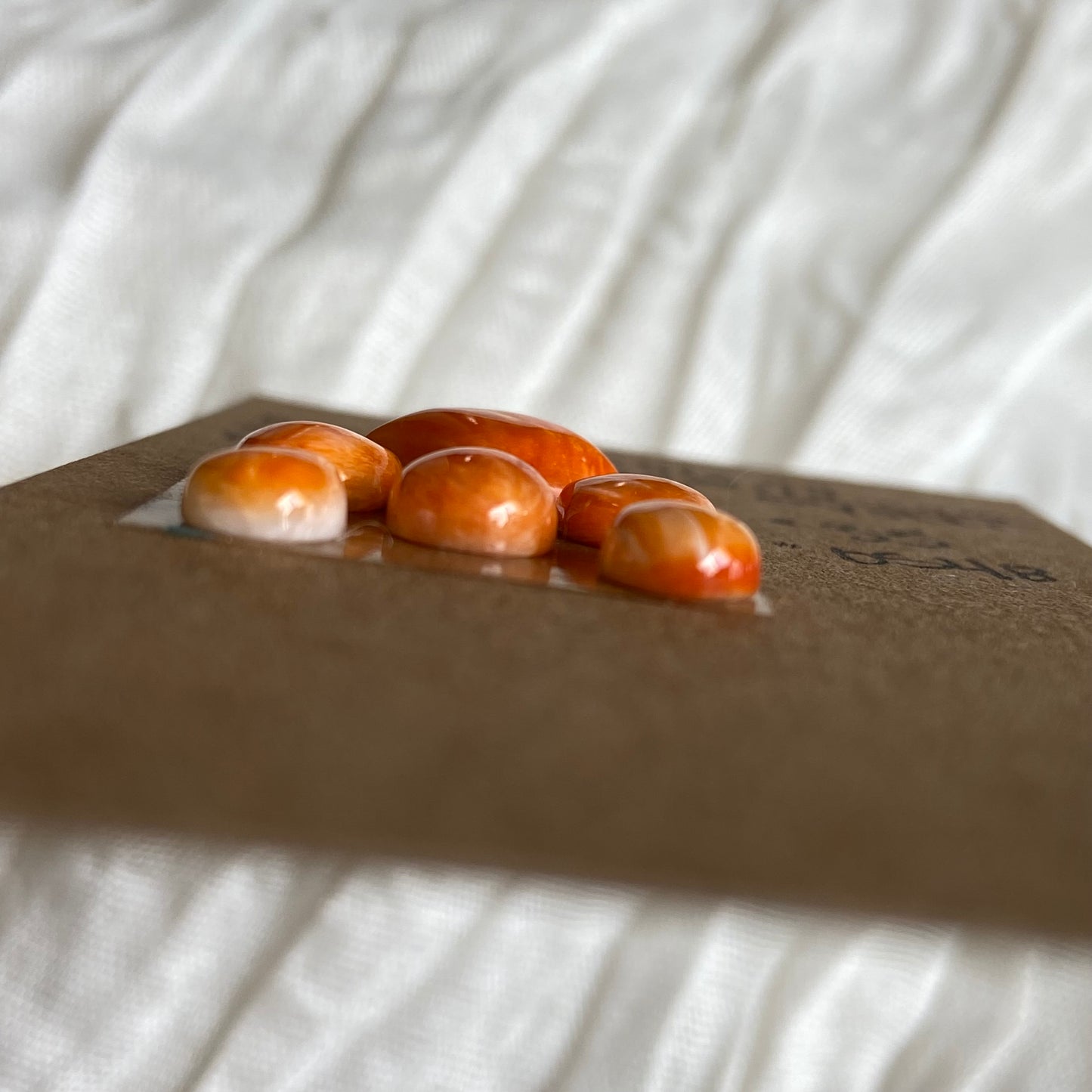 Oystershell Cabochon - OS48 F8CBEBE3-DD22-448E-ADBE-FB214EA54543 Brandedandwild.com