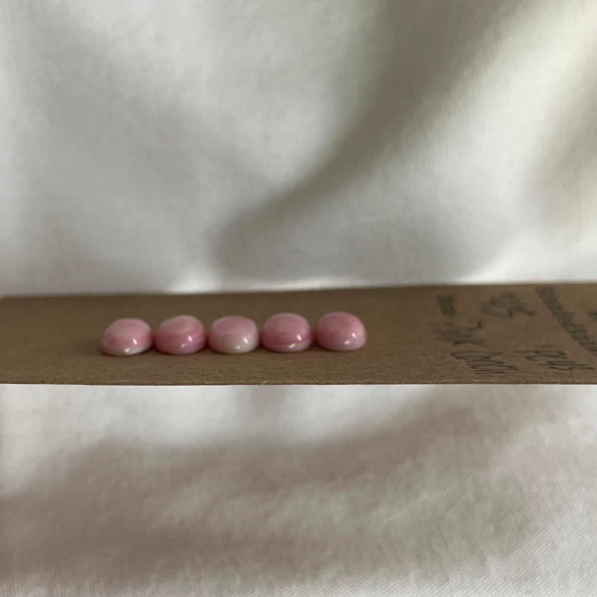 Pink Conch Cabochon - PC43 F8DE1D52-2B59-48B4-9B6D-D7D55A39E962 Brandedandwild.com
