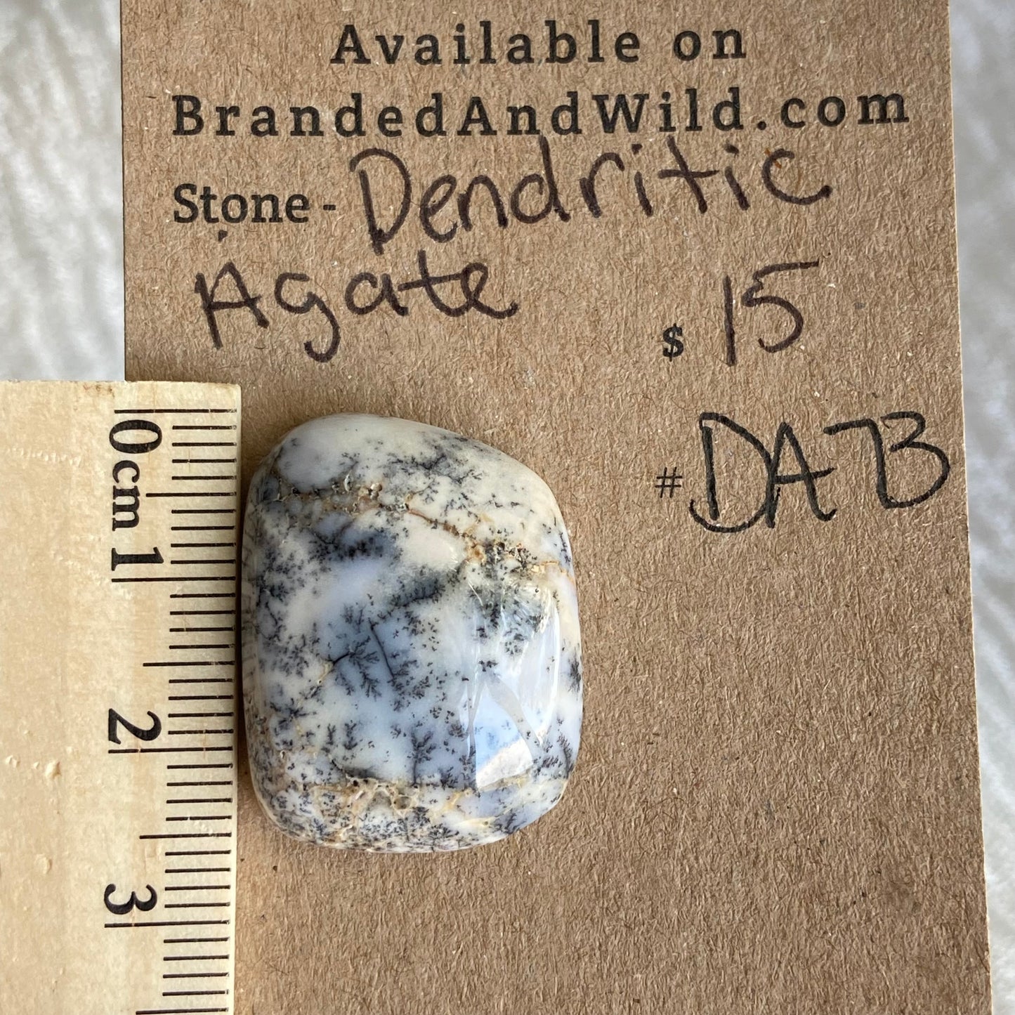 Dendritic Agate Cabochon - DA73