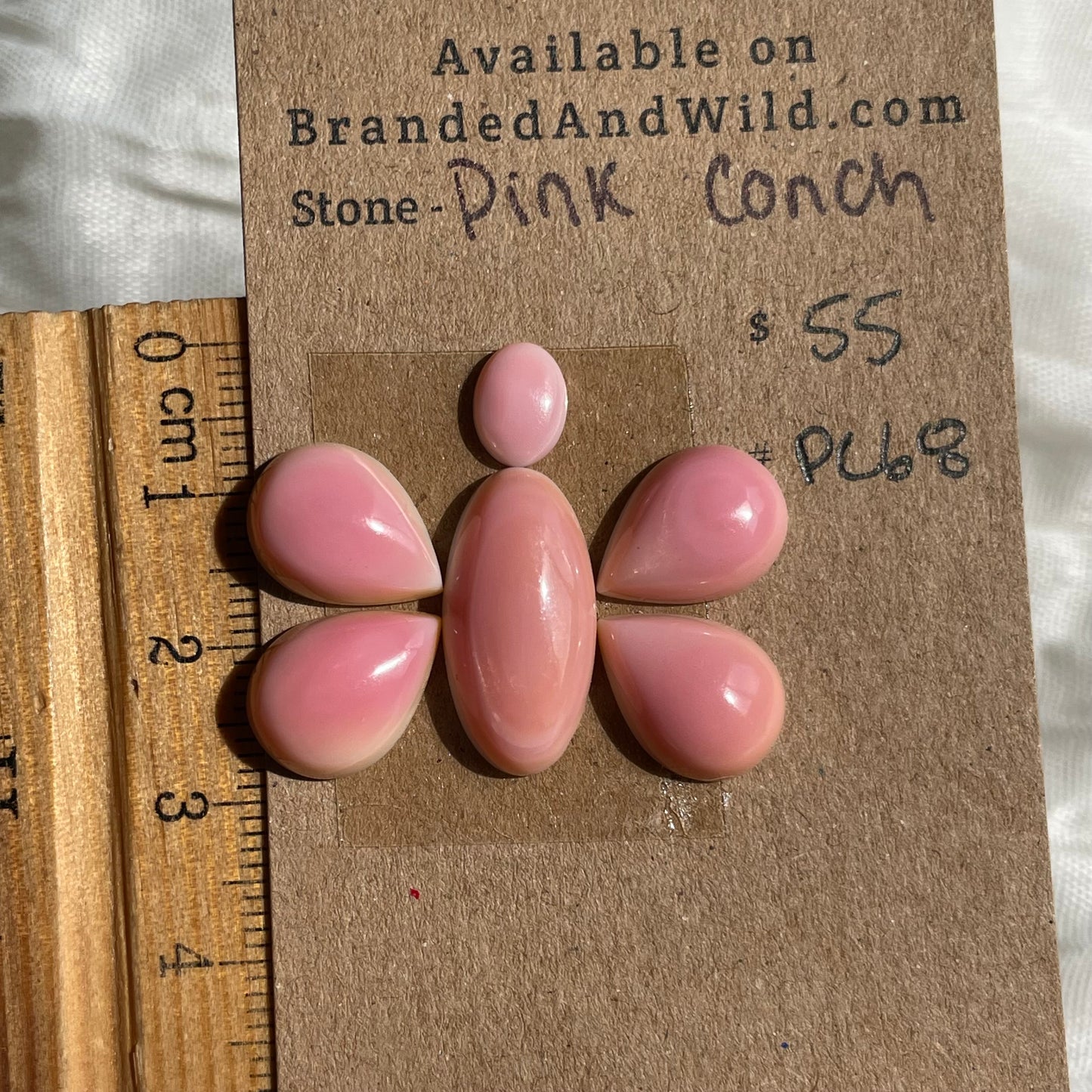 Pink Conch Cabochon - PC68 F950E041-02CD-434C-AFC4-C1279D26B3D0 Brandedandwild.com