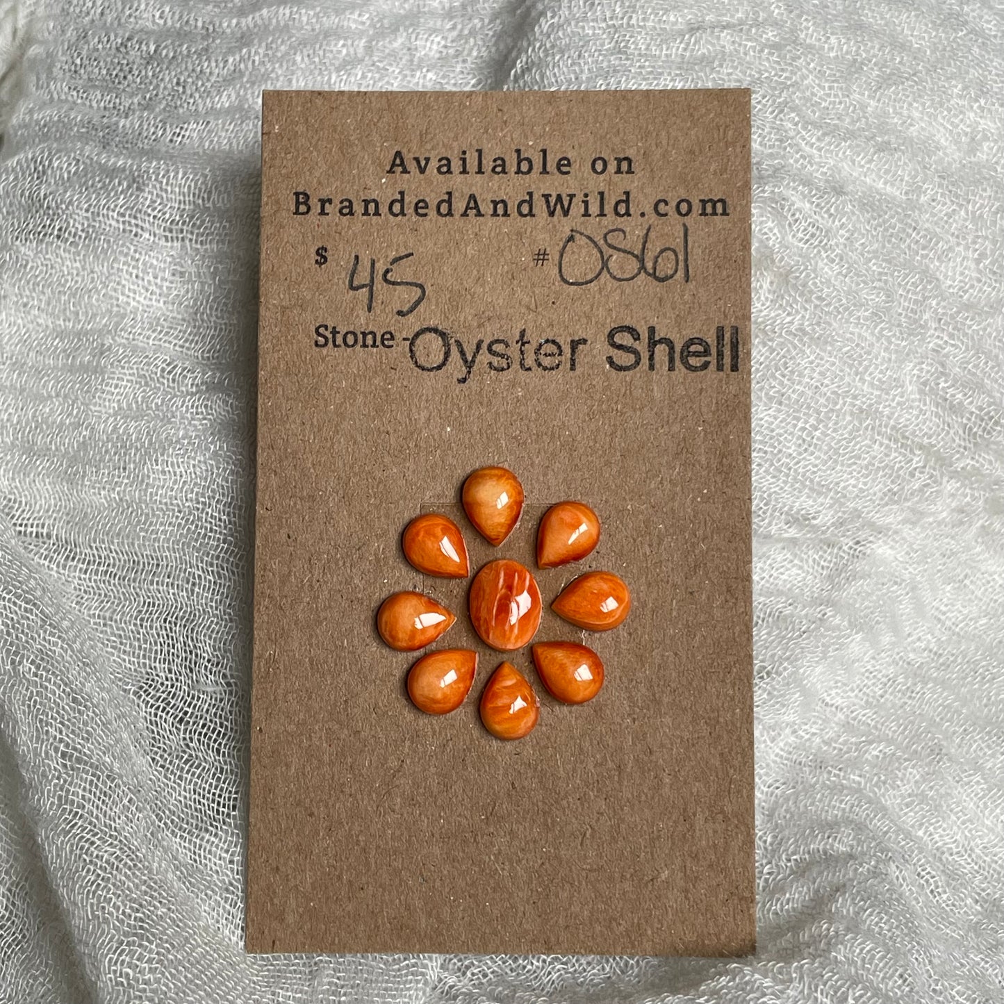 Oyster Shell Cabochon - OS61
