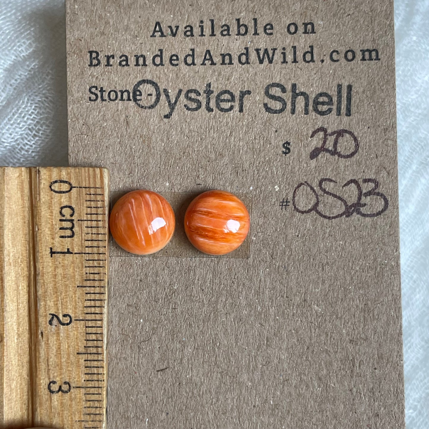 Oyster Shell Cabochon - OS23