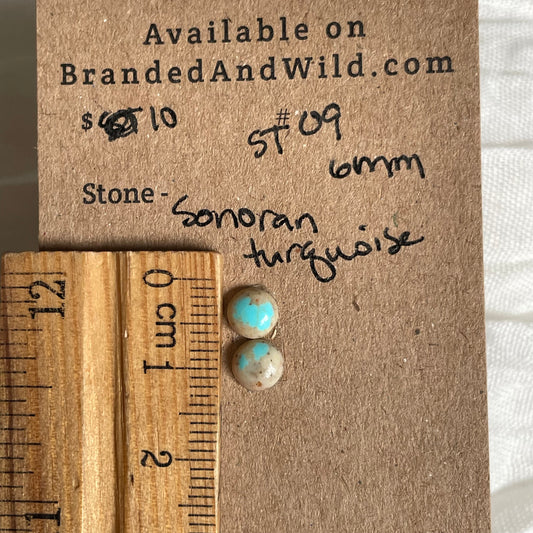 Sonoran Turquoise Cabochon - ST09 F991CBA8-BFD6-45C4-8102-FD586A012705 Brandedandwild.com