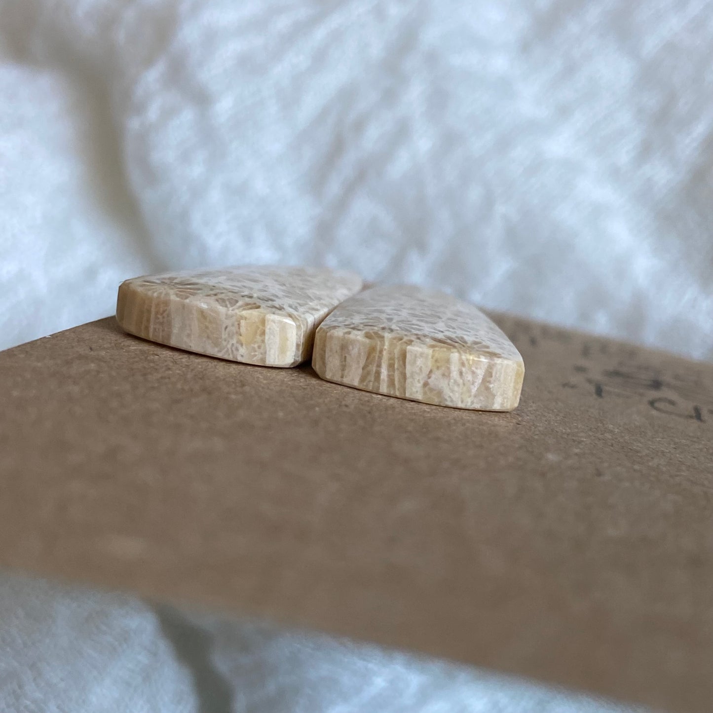 Fossil Coral Cabochon - FC19