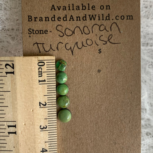 Sonoran Turquoise Cabochon - ST6