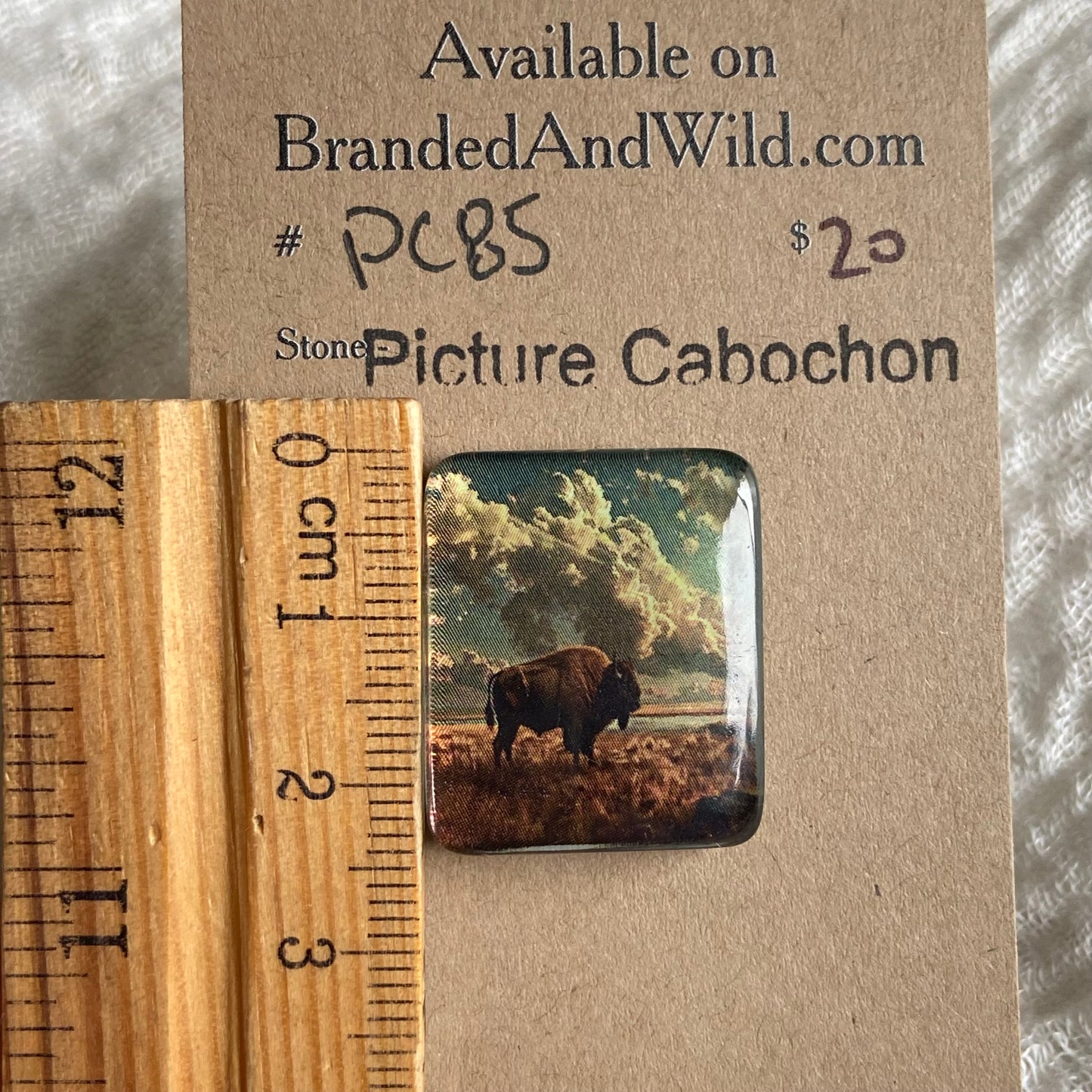Picture Cabochon - Cabochon - PC85 F9BB9B8C-492E-4736-83A9-34888B5F0784 Brandedandwild.com
