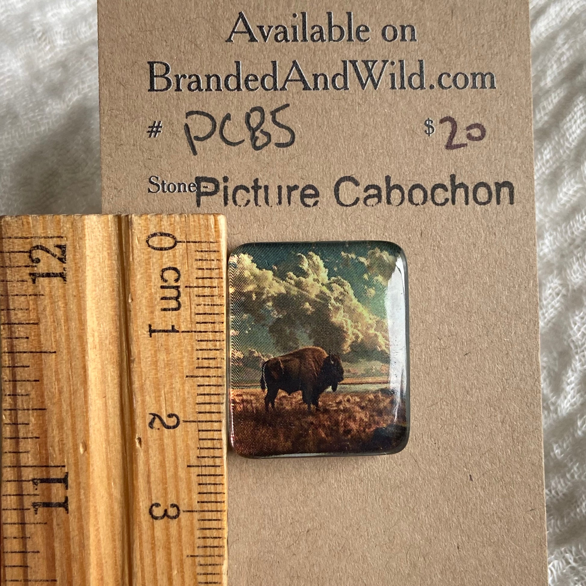 Picture Cabochon - Cabochon - PC85 F9BB9B8C-492E-4736-83A9-34888B5F0784 Brandedandwild.com