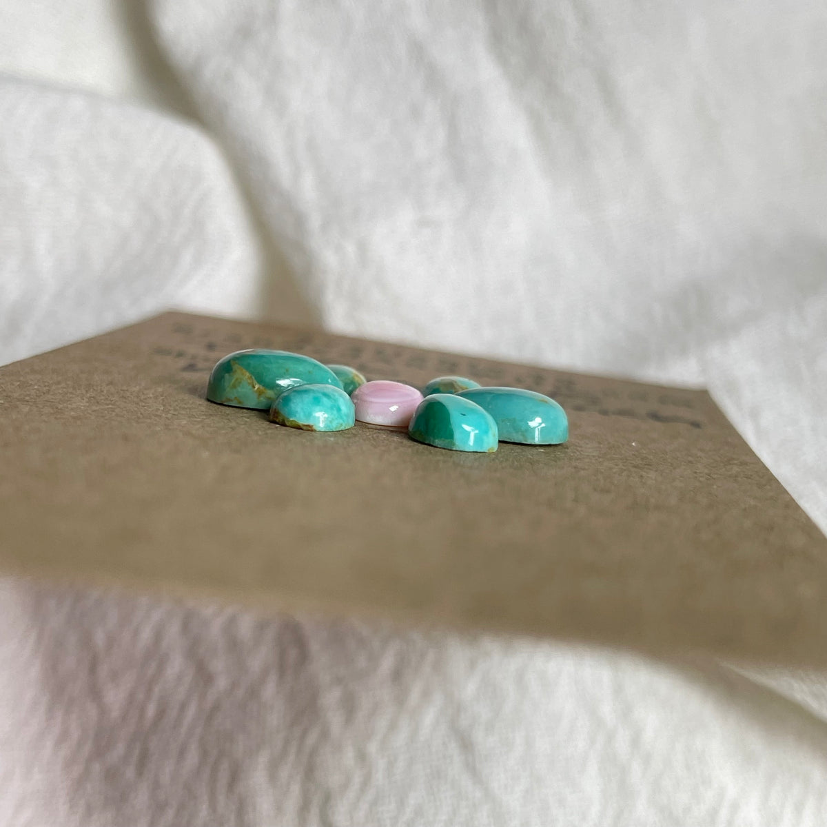 Pink Conch / Kingman Turquoise Cabochon - PK56