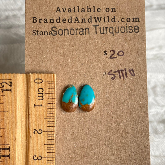 Sonoran Turquoise Cabochon - ST110 F9FCD607-0739-4241-89E1-A565D10E4F47 Brandedandwild.com