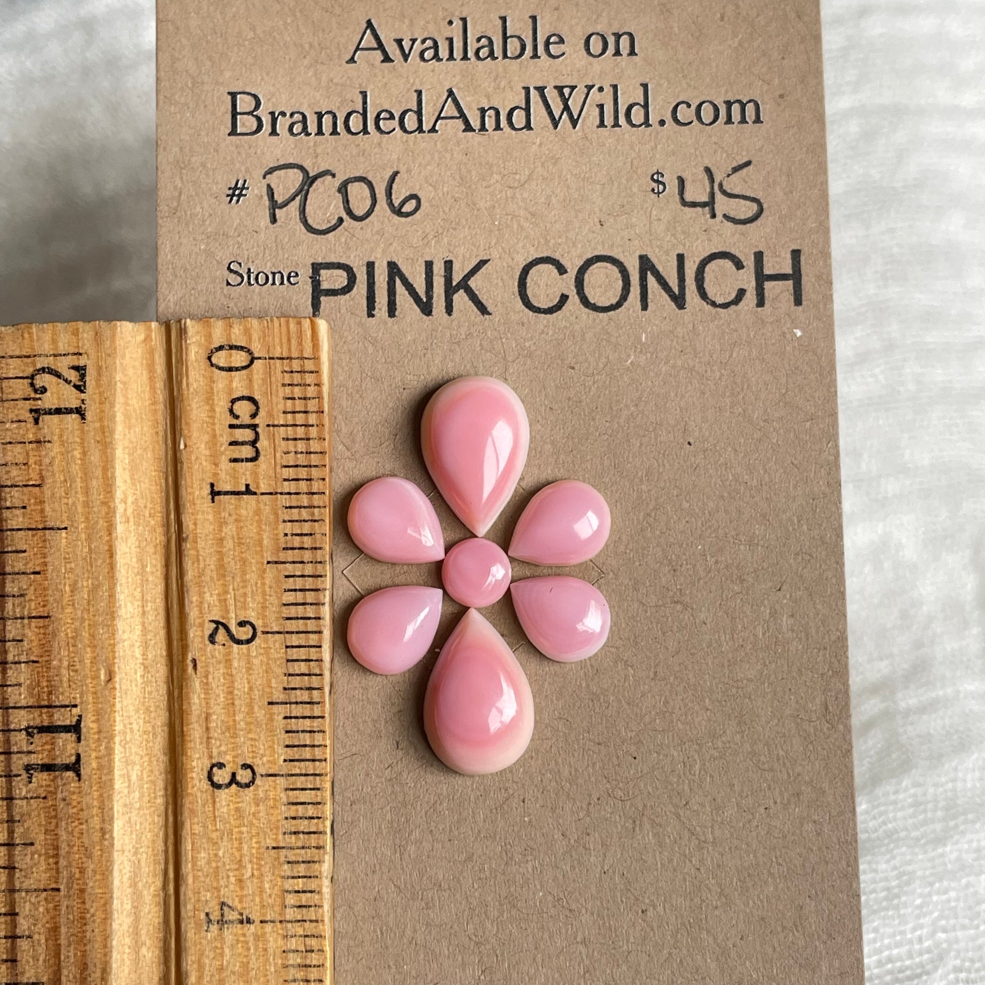 Pink Conch Cabochon - PC06 FA241B7C-B8EB-46F5-AC73-9675C53DDACE Brandedandwild.com