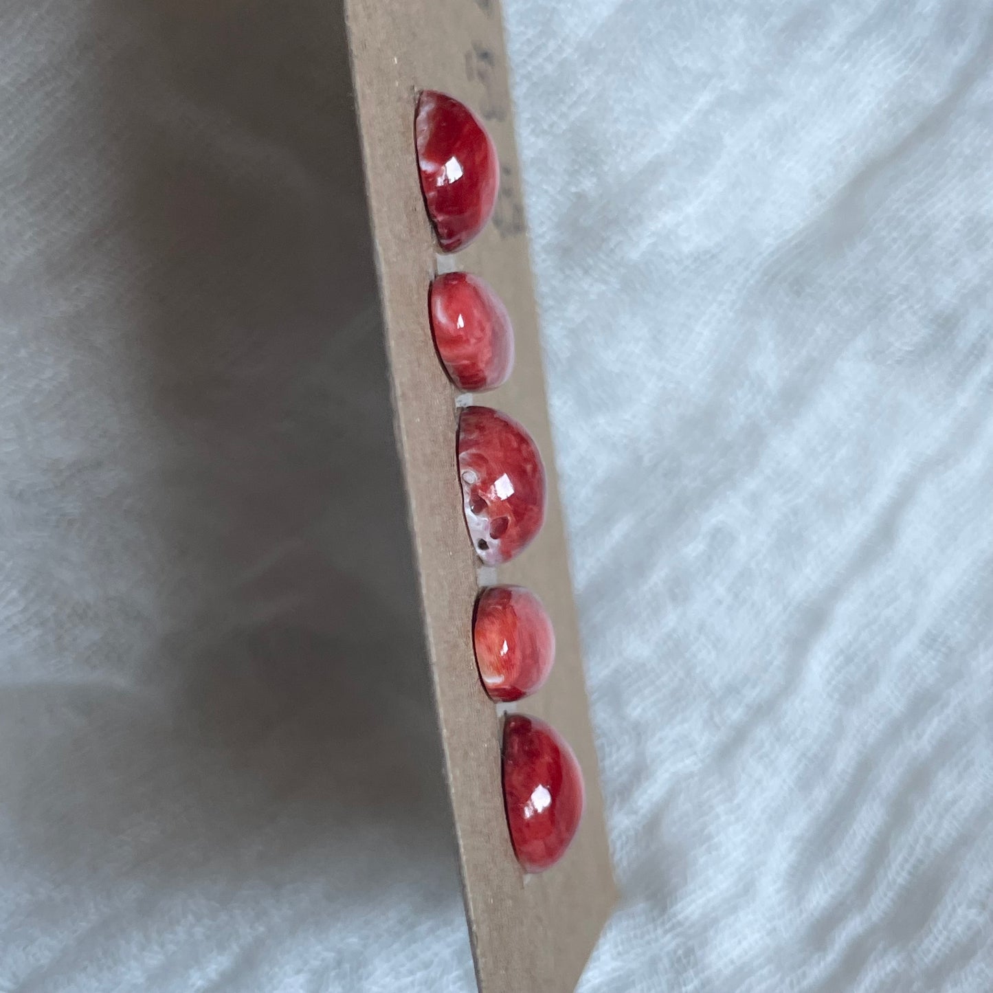Oyster Shell Cabochon - OS56