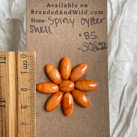 Spiny Oyster Shell Cabochon - SOS32 FA5D90C0-6223-409E-A678-6355A901C89C Brandedandwild.com