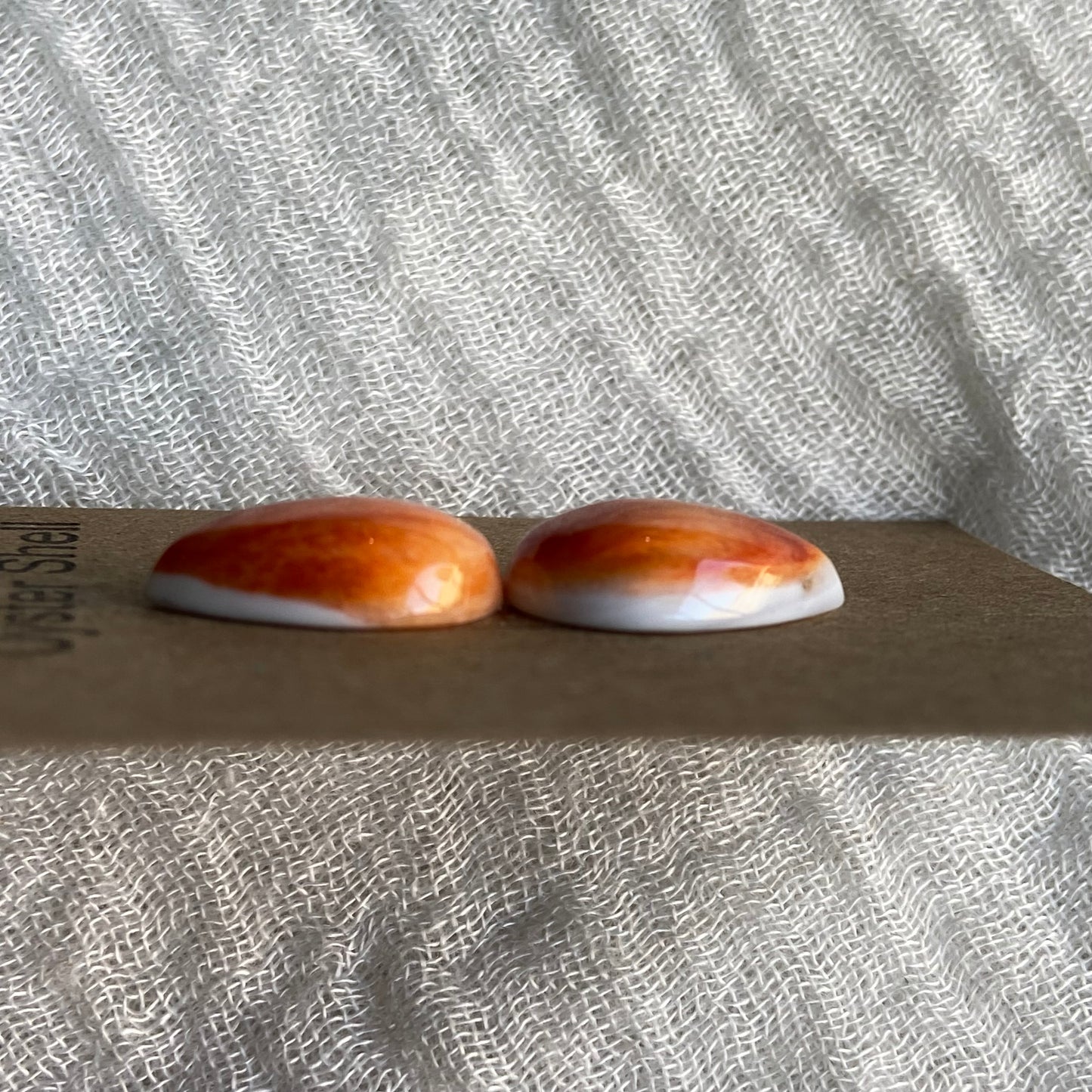 Oyster Shell Cabochon - OS48