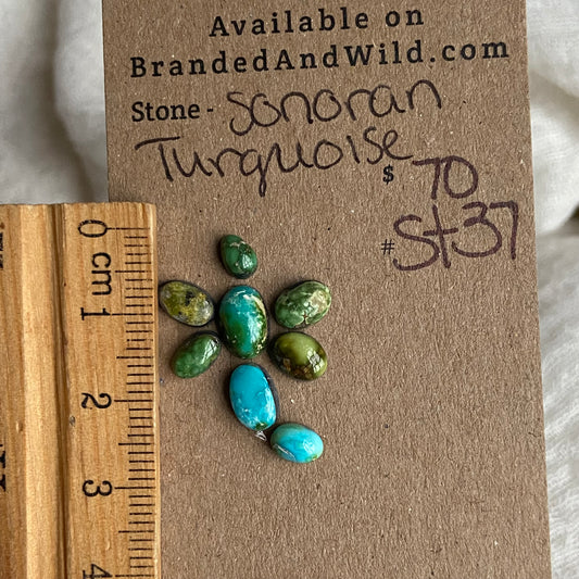 Sonoran Turquoise Cabochon - ST37