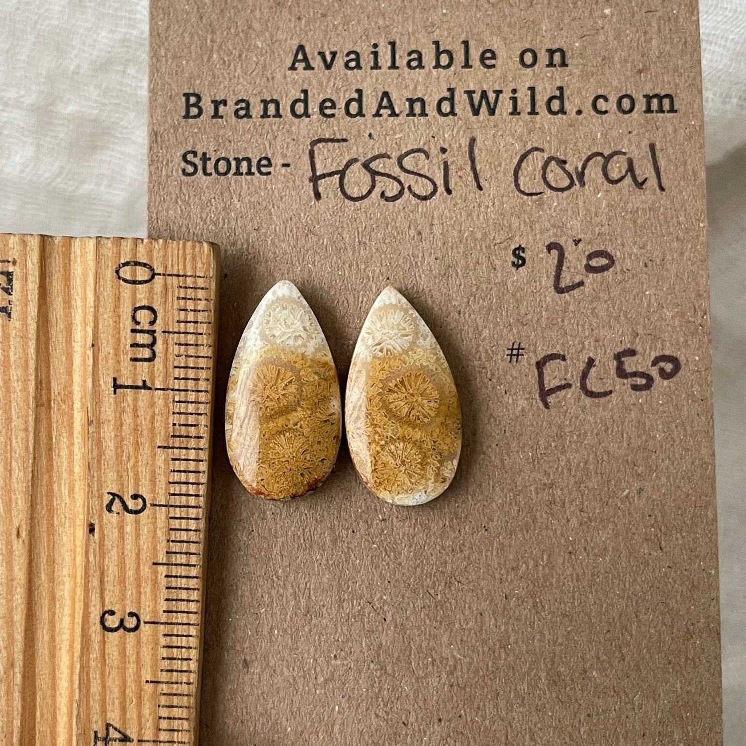 Fossil Coral Cabochon - FC50 FAA9E47B-2F80-4BCD-A900-0B0EFDFD4545 Brandedandwild.com