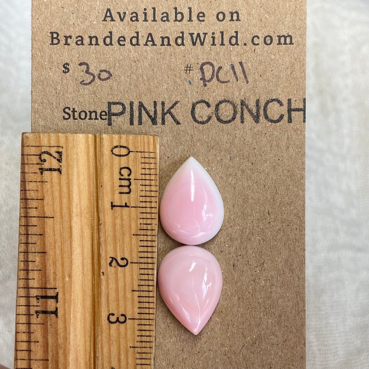 Pink Conch Cabochon - PC11 FAACABC7-4D6C-48A0-BCD2-5F4252AFC00A Brandedandwild.com