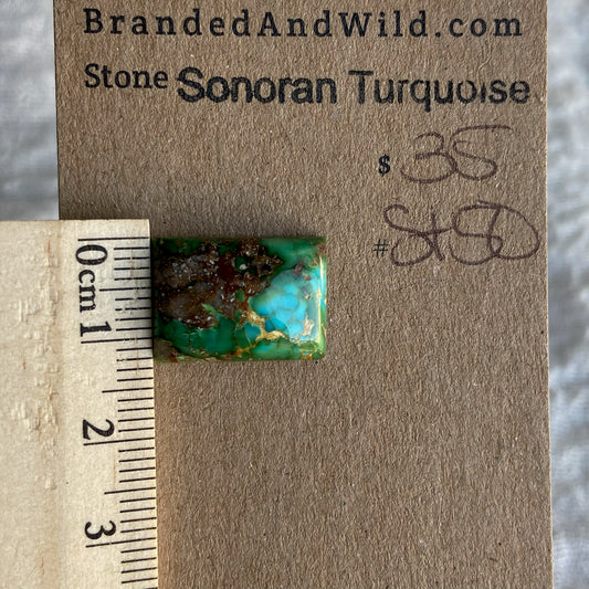 Sonoran Turquoise Cabochon - ST50