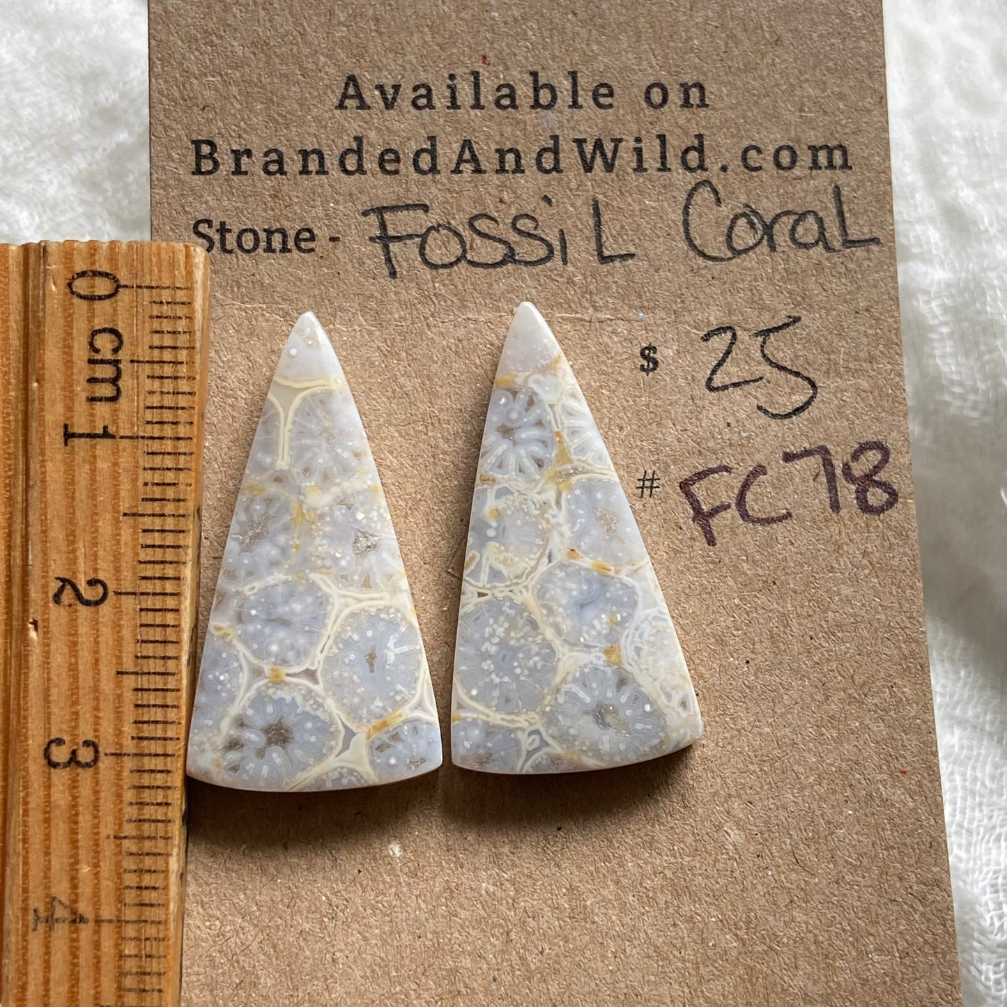 Fossil Coral Cabochon - FC78