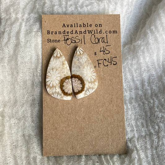 Fossil Coral Cabochon - FC45