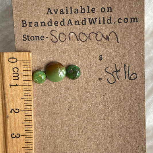 Sonoran Turquoise Cabochon - ST16