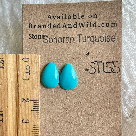 Sonoran Turquoise Cabochon - ST155 FACC43A4-0797-4021-9A51-8E5075B1B981 Brandedandwild.com