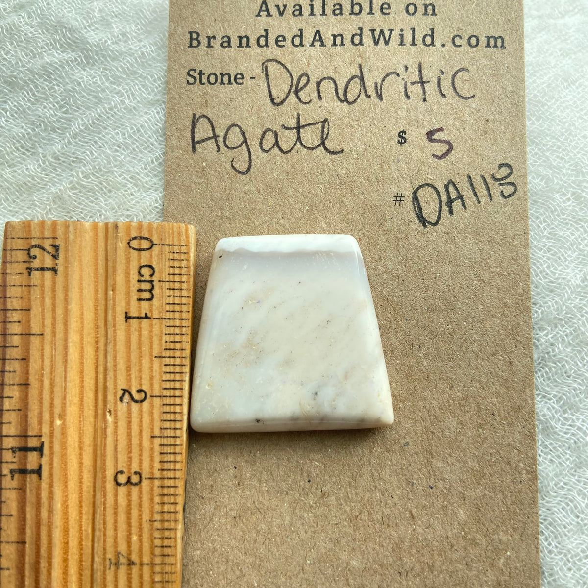 Dendritic Agate Cabochon - DA118