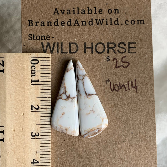 Wild Horse Cabochon - WH14