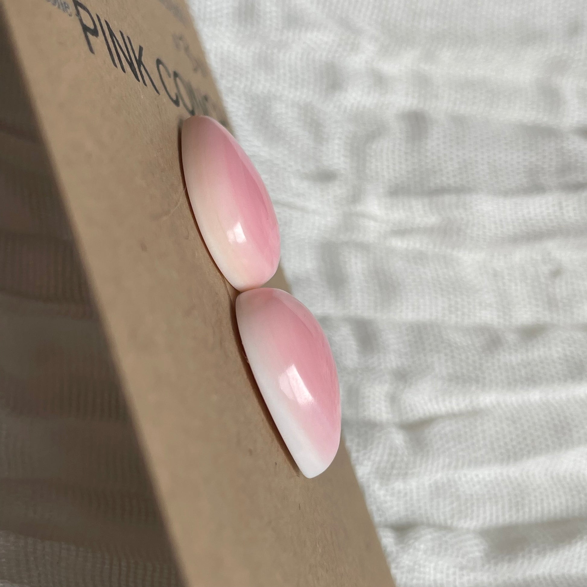 Pink Conch Cabochon - PC49 FB2814A9-90AA-444A-BB17-AC794FEC60B6 Brandedandwild.com