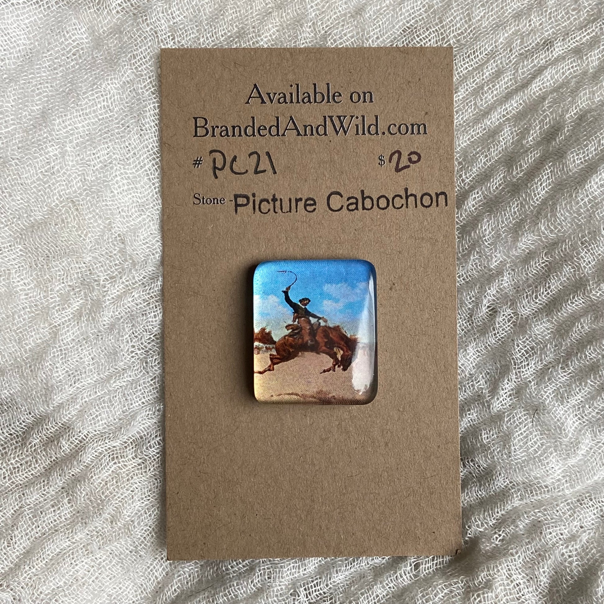 Picture Cabochon - Cabochon - PC21 FB433525-4209-48FF-B8F4-6C8881145D54 Brandedandwild.com