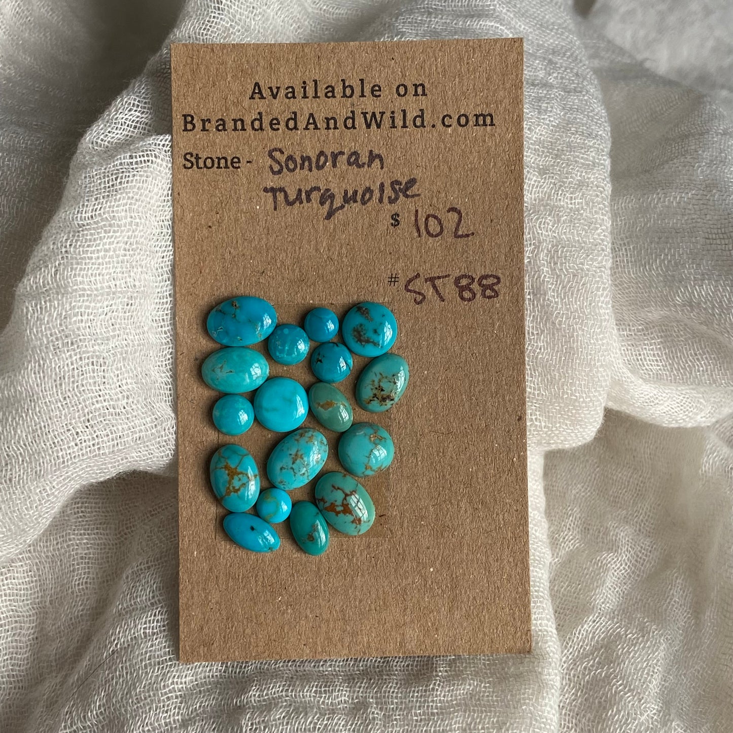 Sonoran Turquoise Cabochon - ST88