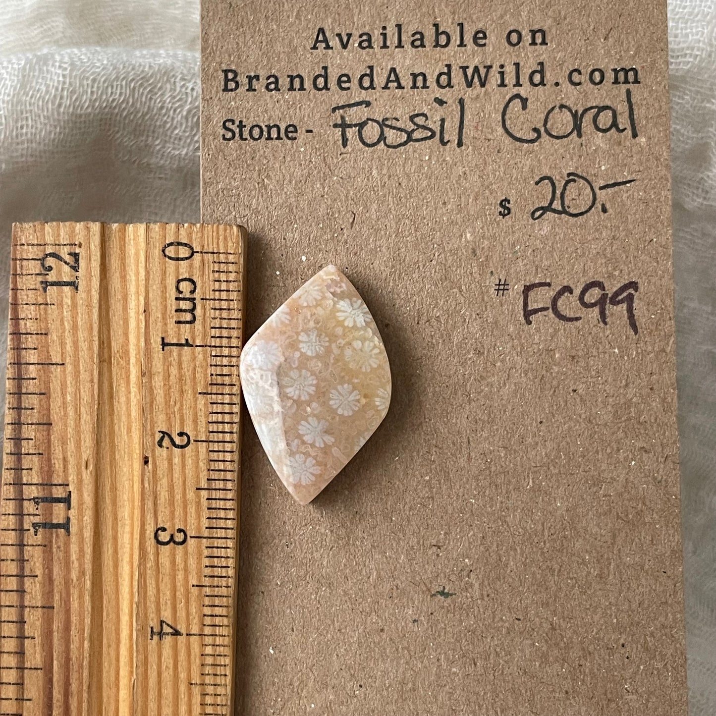 Fossil Coral Cabochon - FC99 FB6A7415-DF4F-4F94-9F18-BF36510E2B01 Brandedandwild.com