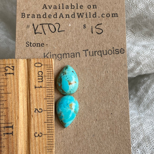 Kingman Turquoise Cabochon - KT02 FB905B20-591C-4370-8F88-02E4DE2CDD2B Brandedandwild.com