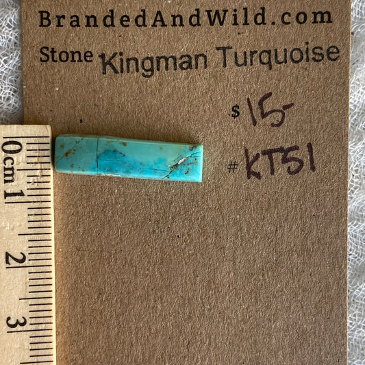 Kingman Turquoise Cabochon - KT51