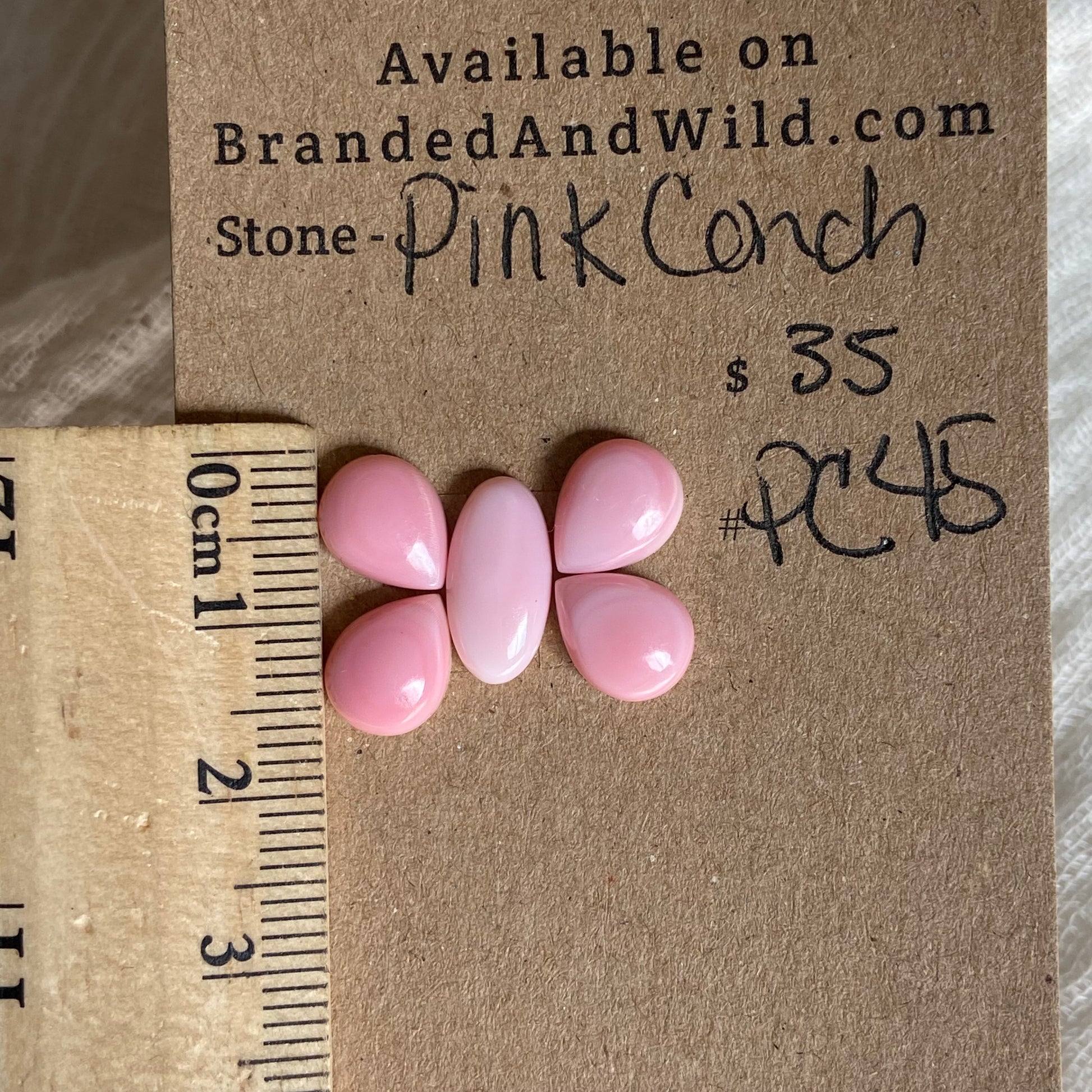 Pink Conch Cabochon - PC45 FBAAA98E-01B7-4CCC-8E5C-3BB2F90EEE95 Brandedandwild.com