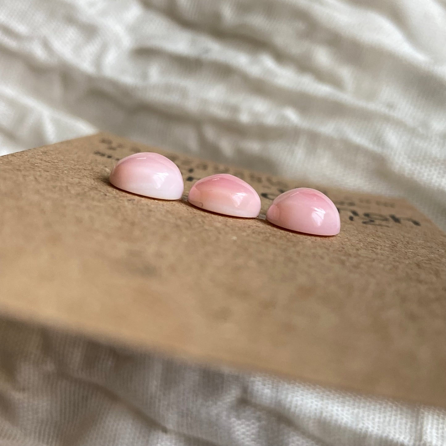 Pink Conch Cabochon - PC62