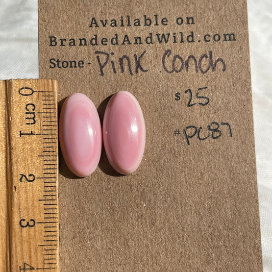 Pink Conch Cabochon - PC87 FBDBBF46-4DA3-44F7-8F9B-BB960C8C2C53 Brandedandwild.com