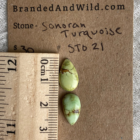 Sonoran Turquoise Cabochon - ST21