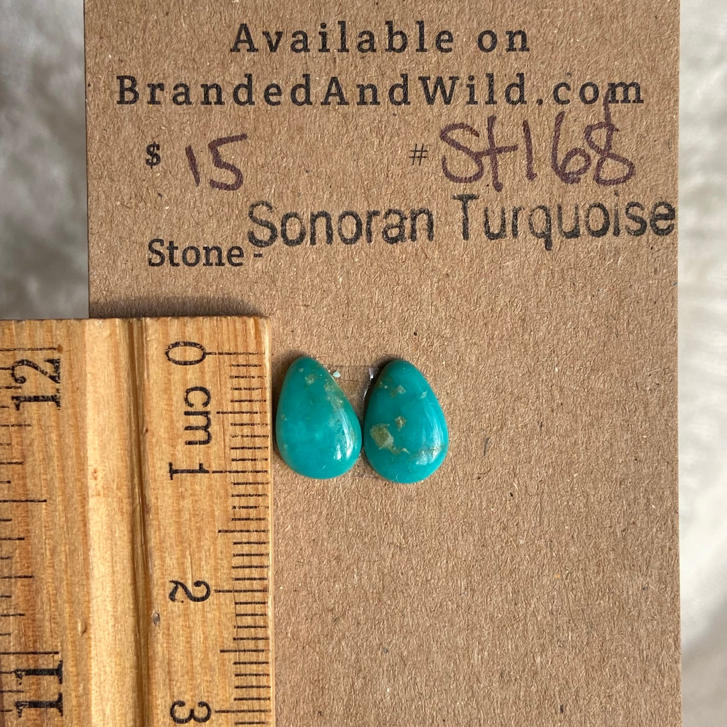 Sonoran Turquoise Cabochon - ST168
