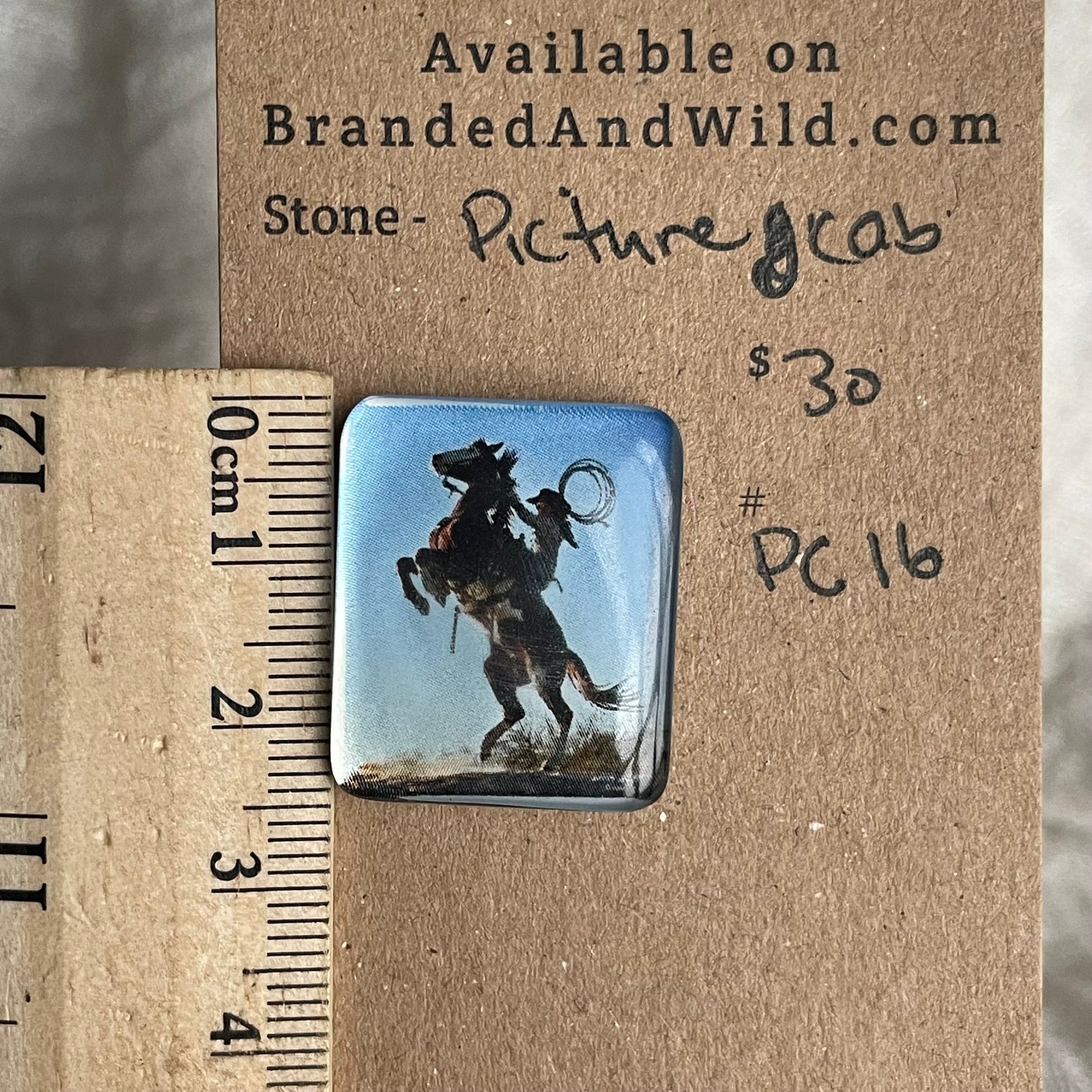 Picture Cabochon - Cabochon - PC16 FBF8A665-FA0D-4EE4-854F-D66CCF33FA17 Brandedandwild.com