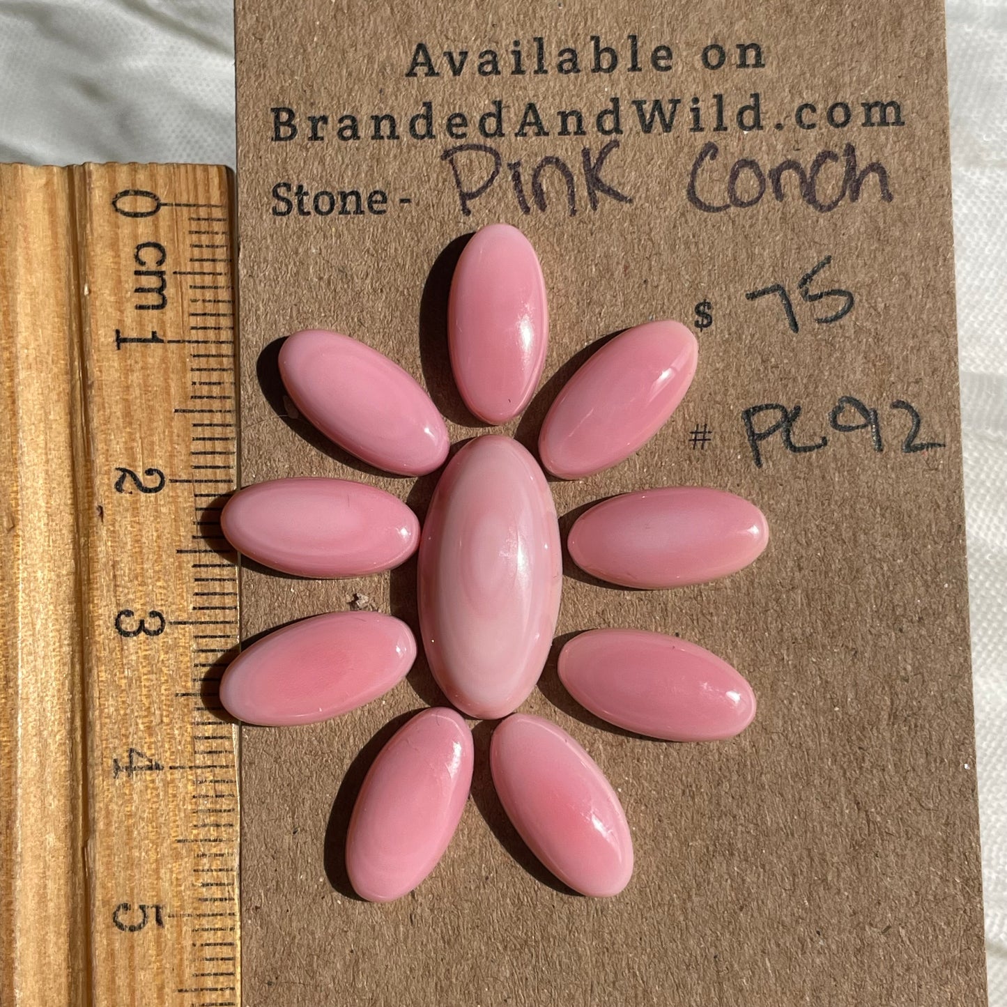 Pink Conch Cabochon - PC92 FBF8FD63-BF53-4C5A-AA5A-9CD74317439E Brandedandwild.com