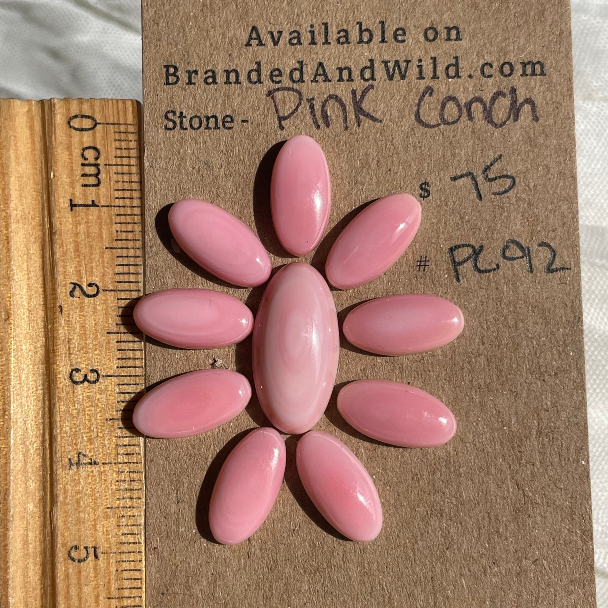 Pink Conch Cabochon - PC92 FBF8FD63-BF53-4C5A-AA5A-9CD74317439E Brandedandwild.com