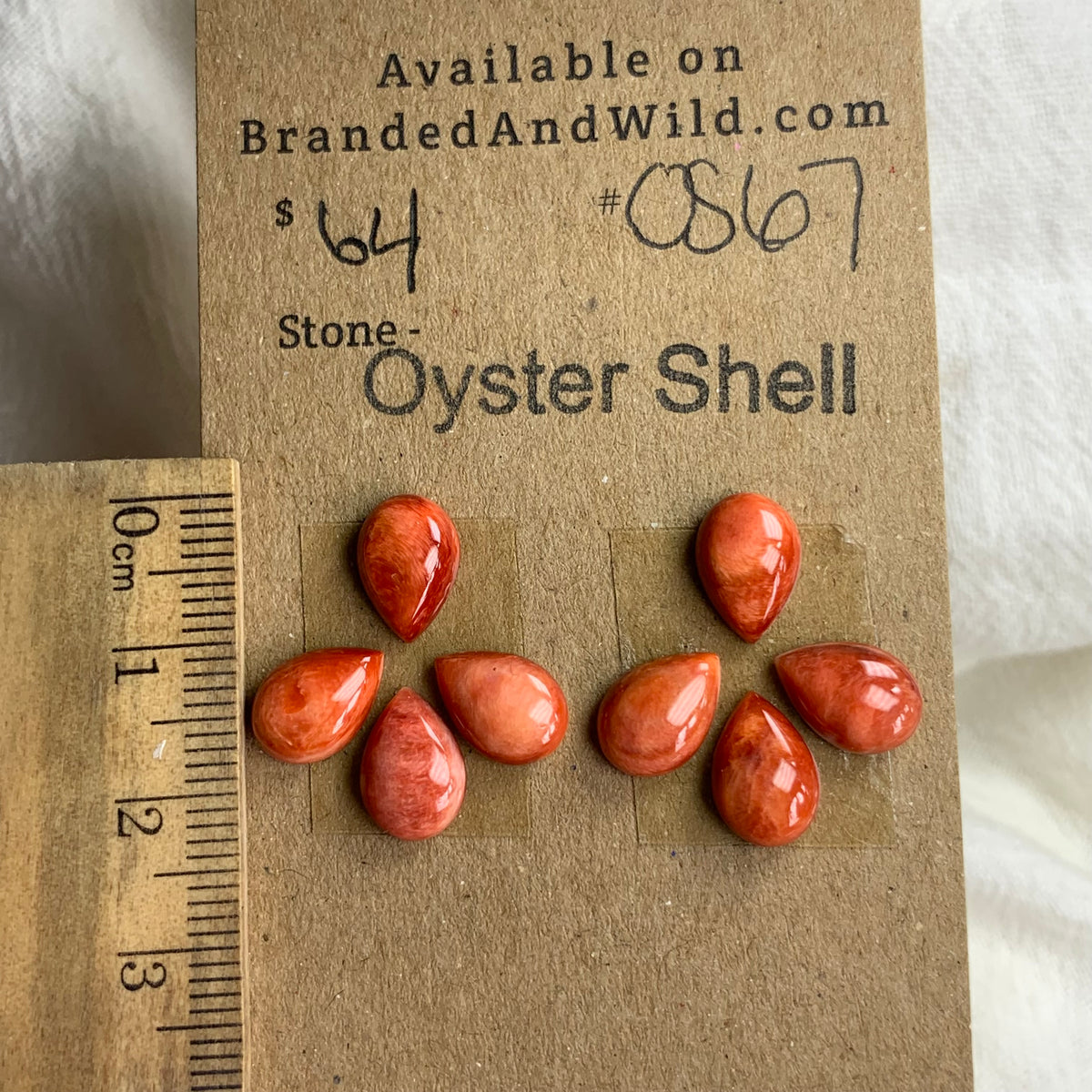 Oyster Shell Cabochon - OS67 FC097D0F-6828-4E64-95D6-3A764D56FFB4 Brandedandwild.com