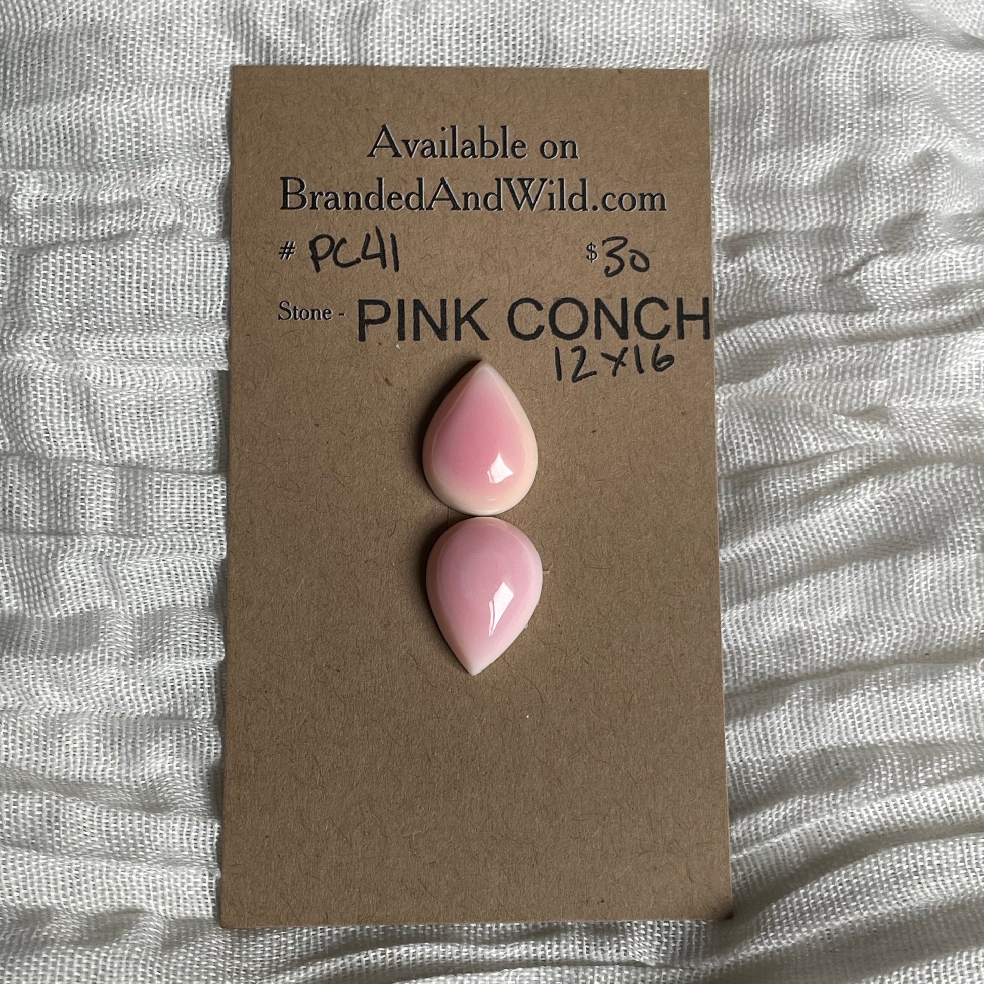 Pink Conch Cabochon - PC41 FC37E354-1704-430D-AA0B-6D6555FBD69E Brandedandwild.com