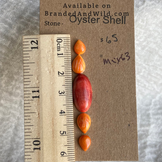 Oystershell Cabochon - MIX63