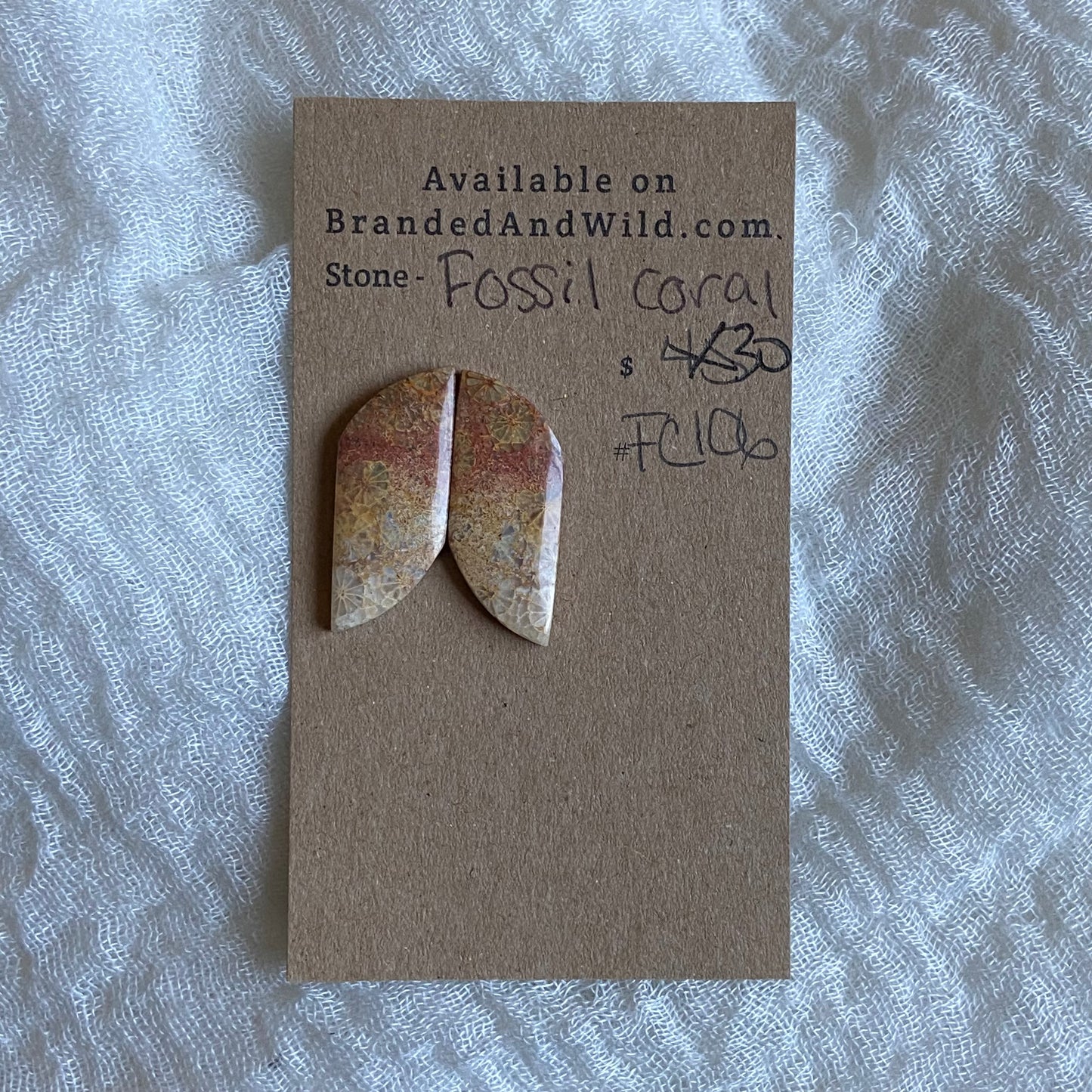 Fossil Coral Cabochon - FC106