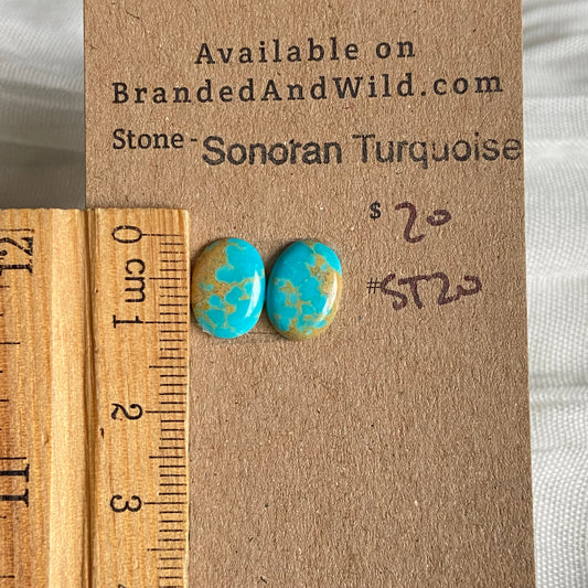 Sonoran Turquoise Cabochon - ST20 FC3B9F33-7581-48E9-A0C1-3DD0F9C6326C Brandedandwild.com