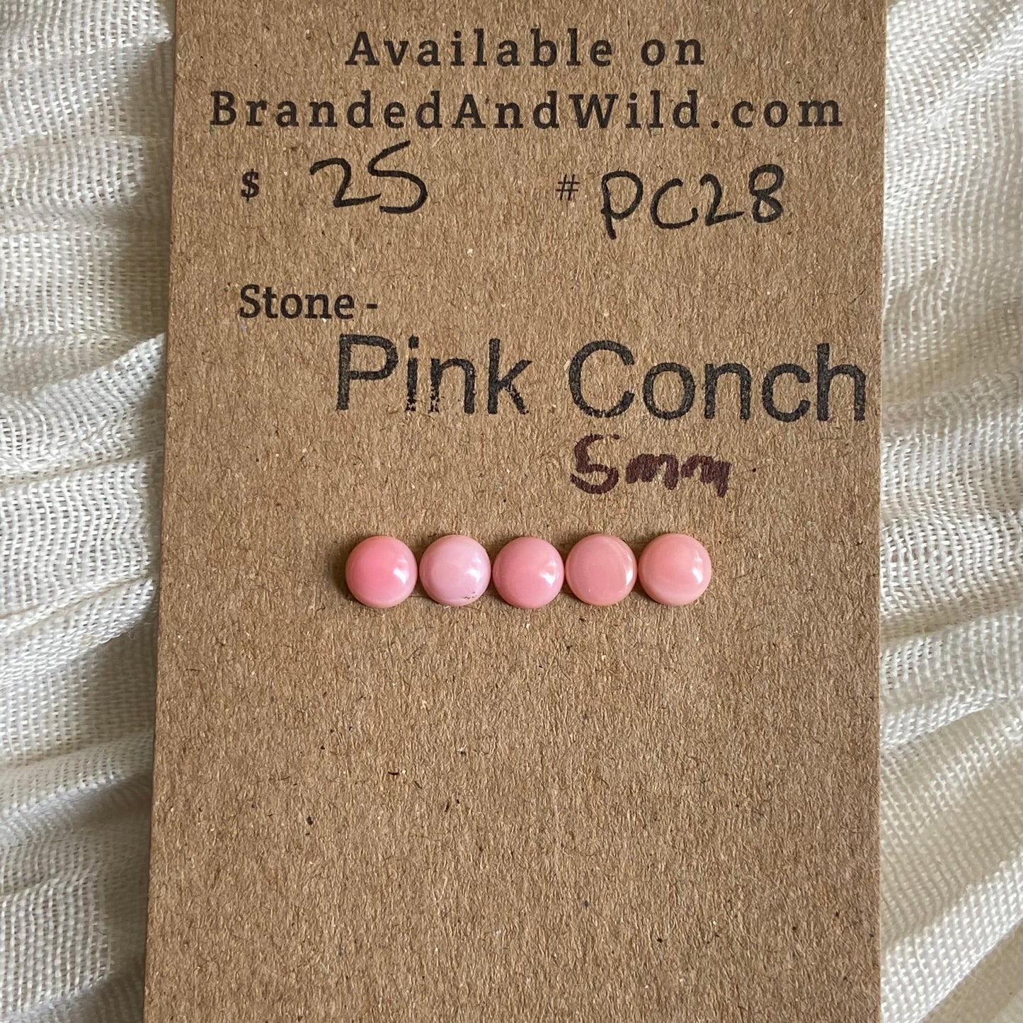 Pink Conch Cabochon - PC28 FC694151-D2A6-4B27-885D-CA2D27C793C3 Brandedandwild.com
