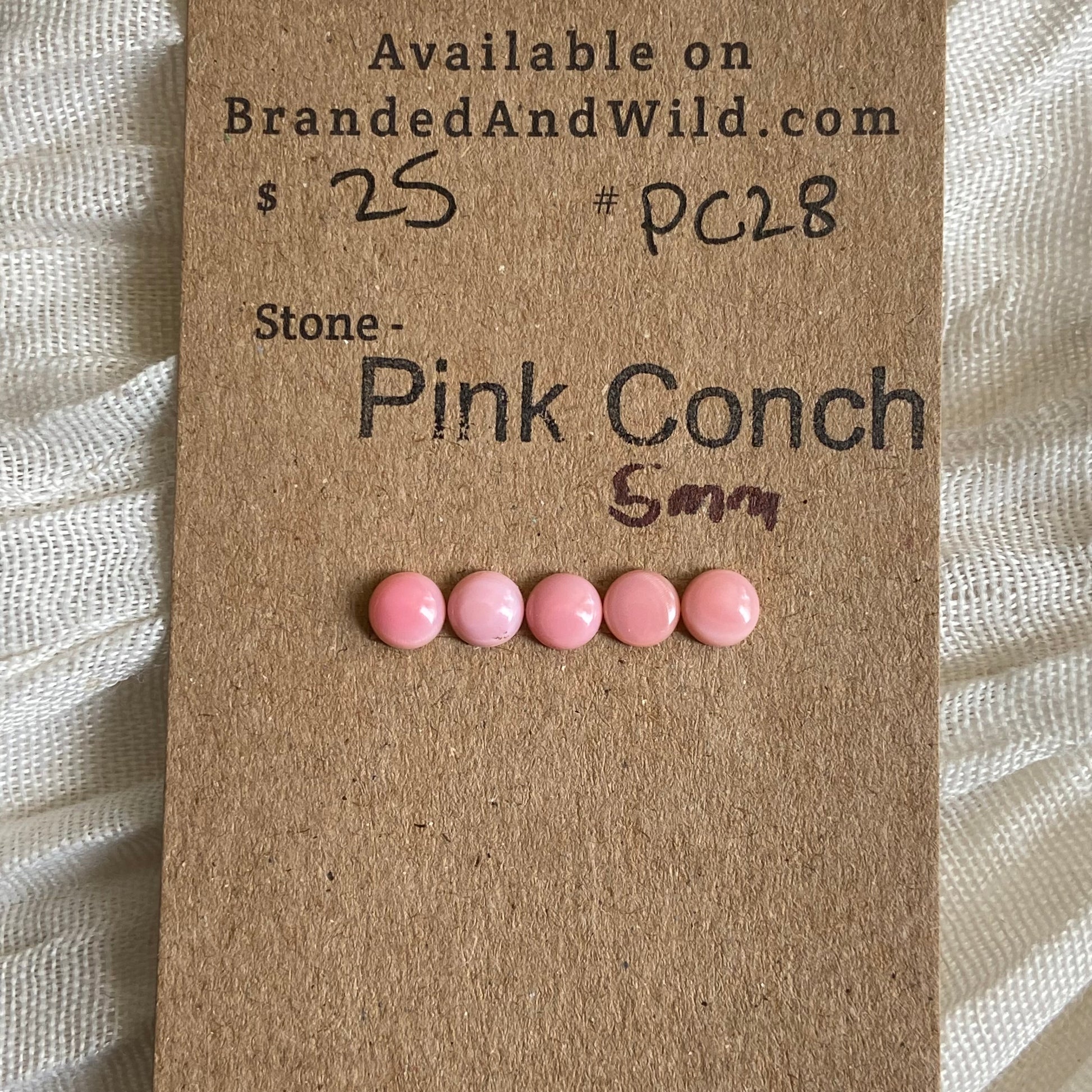 Pink Conch Cabochon - PC28 FC694151-D2A6-4B27-885D-CA2D27C793C3 Brandedandwild.com